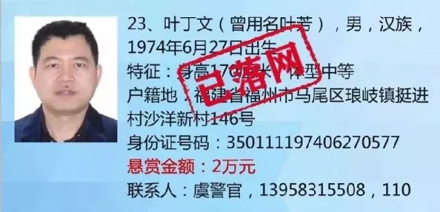 澳門正版大全免費資,澳門正版大全免費資源——警惕背后的違法犯罪問題