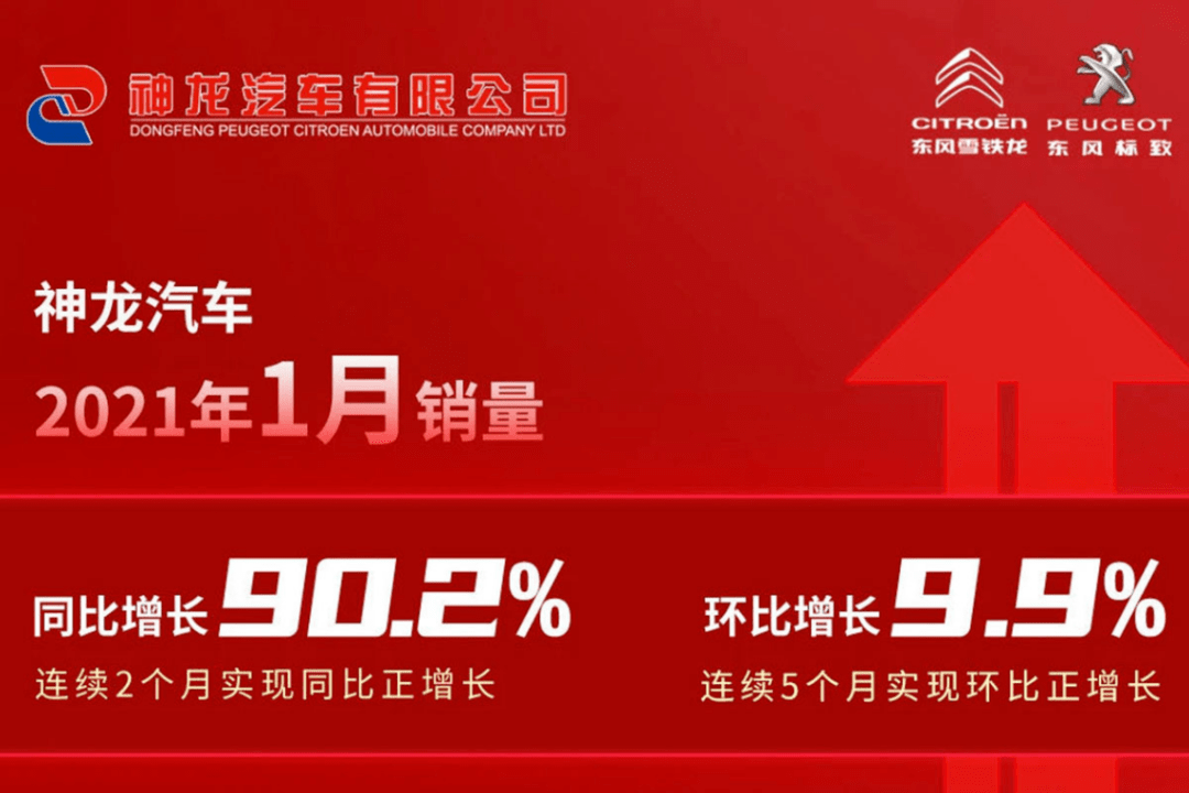 2024新奧資料免費精準109,探索未來，2024新奧資料免費精準獲取之道（109細節(jié)詳解）