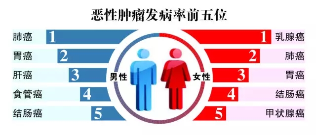 2024年管家婆四肖期期準(zhǔn),揭秘2024年管家婆四肖期期準(zhǔn)的奧秘