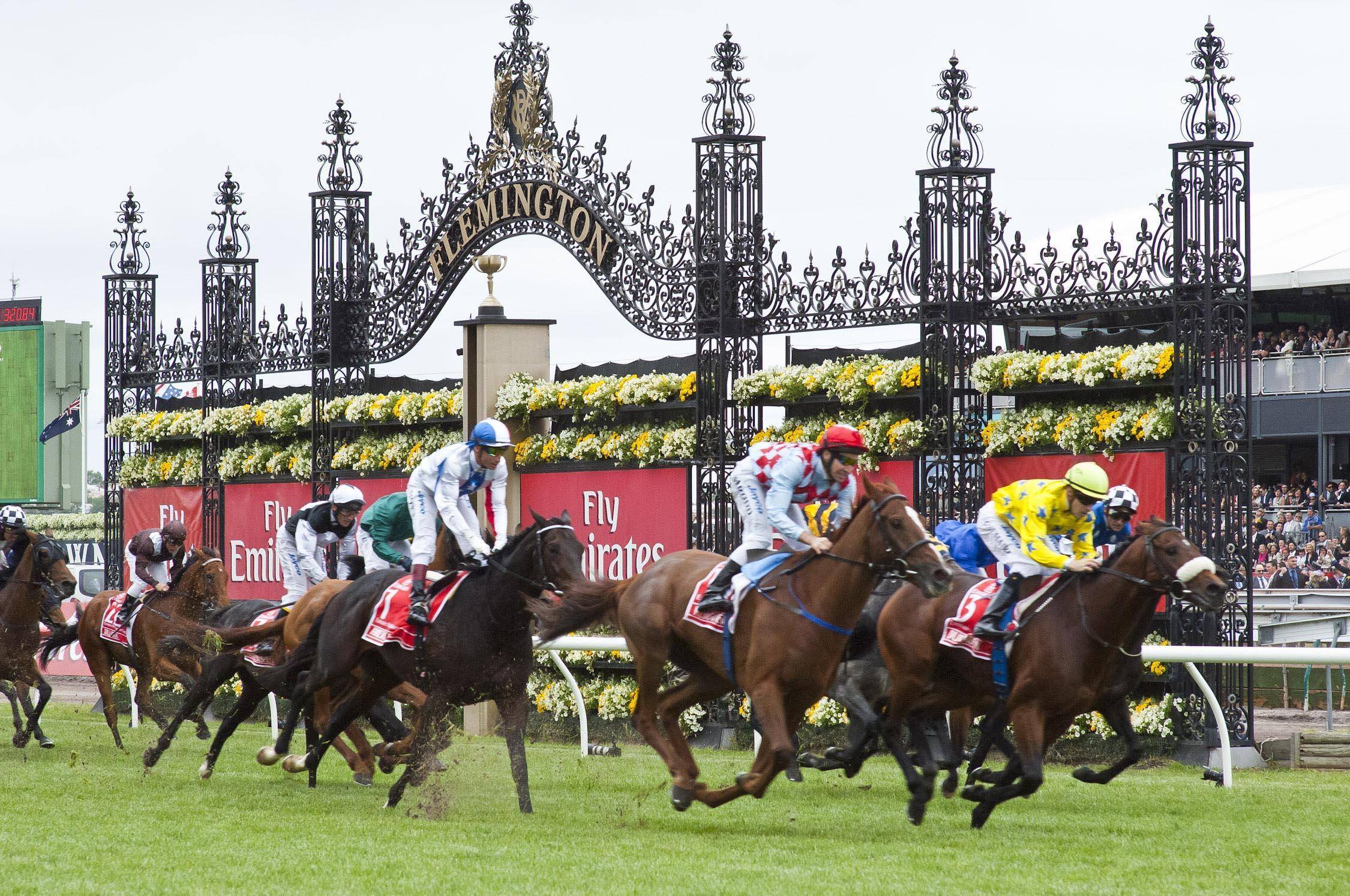 香港今晚開什么特馬,香港今晚開什么特馬，探索賽馬文化背后的故事