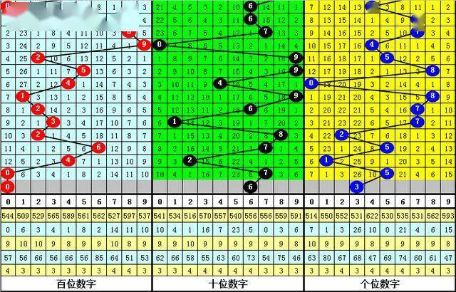 白小姐四肖四碼100%準(zhǔn),揭秘白小姐四肖四碼，探尋百分之百準(zhǔn)確預(yù)測(cè)的背后