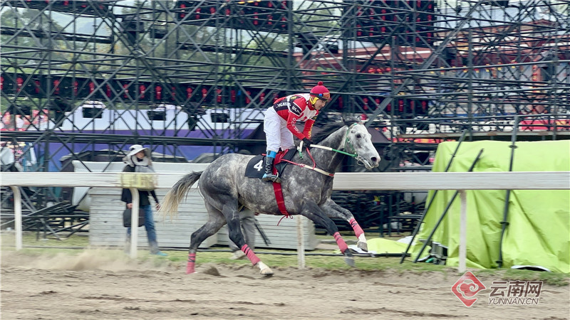 2024今晚香港開特馬,今晚香港開特馬，歷史、文化與現(xiàn)代社會的交匯點(diǎn)