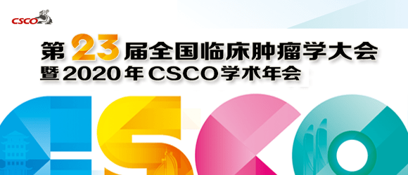 2024新奧資料免費(fèi)精準(zhǔn)天天大全,探索未來，2024新奧資料免費(fèi)精準(zhǔn)天天大全的獨(dú)特價(jià)值