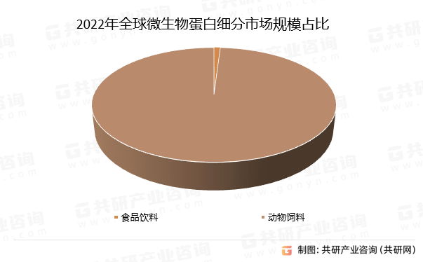 新澳王中王資料大全,新澳王中王資料大全，深度解析與探索