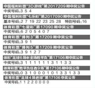 一碼一碼中獎(jiǎng)免費(fèi)公開資料,揭秘一碼一碼中獎(jiǎng)，免費(fèi)公開資料的深度探索