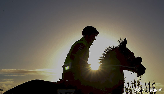 2024澳門特馬今晚開獎一,澳門特馬今晚開獎一，期待與驚喜的交融之夜