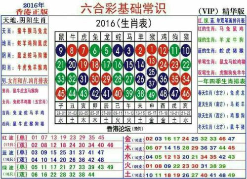 2024十二生肖49碼表,揭秘2024十二生肖與數(shù)字彩票的奇妙結(jié)合——49碼表詳解