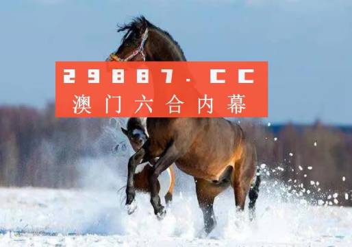 今晚澳門精準(zhǔn)一肖一馬,今晚澳門精準(zhǔn)一肖一馬，探索命運的神秘之門