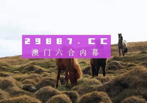 新澳門開獎結果2024開獎記錄,澳門新開獎結果及未來開獎展望，探索2024年的開獎記錄