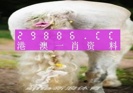 澳門一肖一碼準(zhǔn)選一碼2023年,澳門一肖一碼準(zhǔn)選一碼與犯罪問題探討（以澳門為視角）