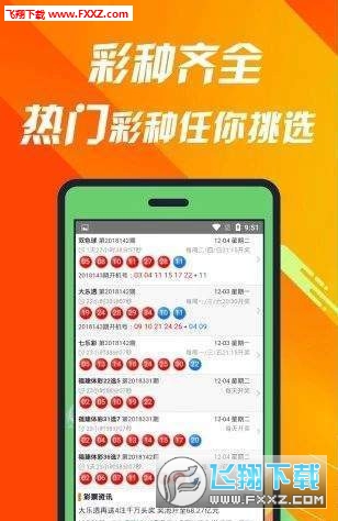 王中王493333中特1肖,王中王493333中特1肖，探索與解析