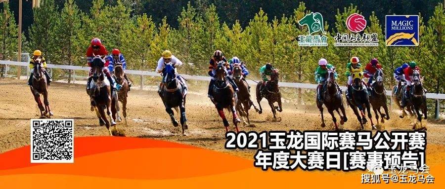 新澳今天開什么特馬,新澳今日賽馬盛況，探尋特馬賽道上的速度與激情