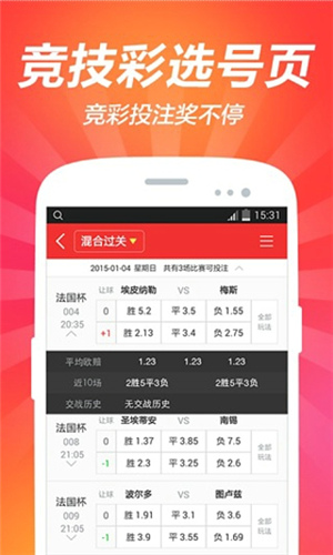 2024澳門天天開好彩大全app,關(guān)于澳門天天開好彩大全app的探討與警示