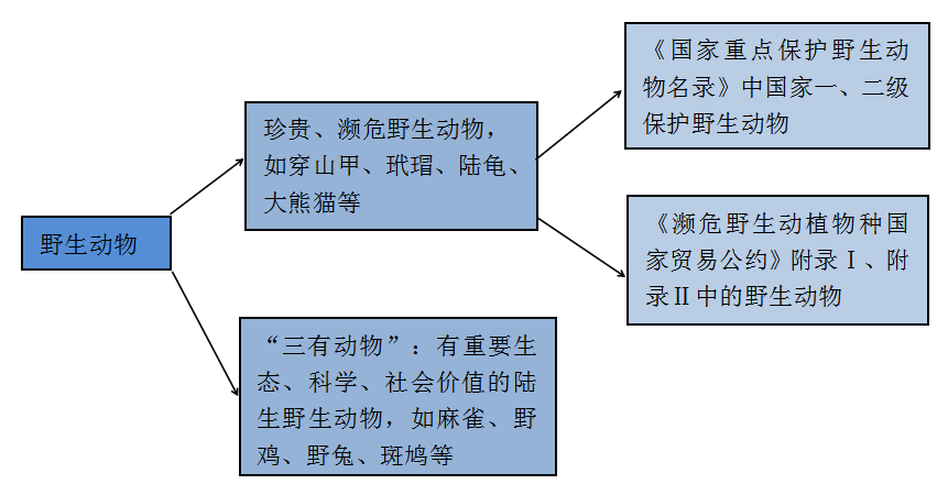 7777788888馬會(huì)傳真,探索數(shù)字奧秘，馬會(huì)傳真與數(shù)字世界的新紀(jì)元