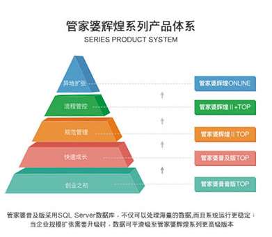 新澳門管家婆一句,新澳門管家婆一句，揭示背后的智慧與奧秘