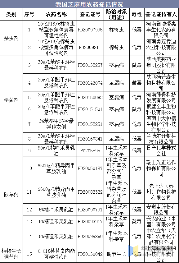 新澳資料免費長期公開嗎,新澳資料免費長期公開，可能性與影響分析