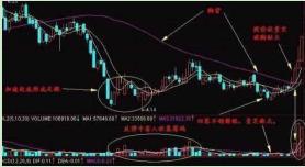 精準(zhǔn)一肖100%準(zhǔn)確精準(zhǔn)的含義,精準(zhǔn)一肖，探尋百分之百準(zhǔn)確預(yù)測(cè)的魅力與內(nèi)涵