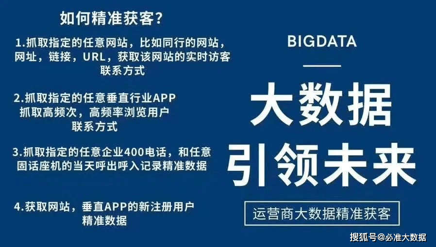 新奧天天精準資料大全,新奧天天精準資料大全，深度解析與實際應用