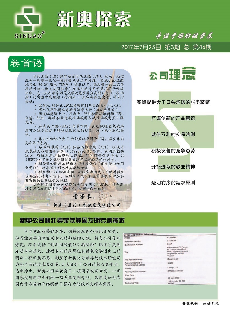 2025新澳精準(zhǔn)正版資料,探索未來，2025新澳精準(zhǔn)正版資料研究