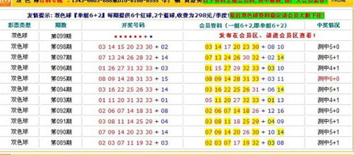 澳門4949最快開獎結(jié)果,澳門4949最快開獎結(jié)果，探索彩票世界的速度與激情