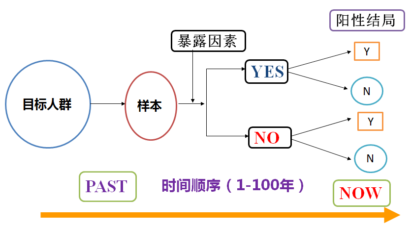 2025最新奧馬資料傳真,關(guān)于最新奧馬資料傳真的研究與分析（2025年）