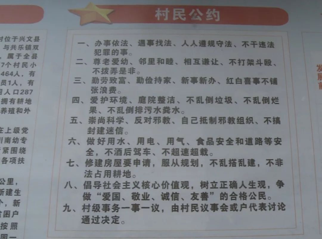 最準一肖100%準確精準的含義,揭秘最準一肖，探尋百分之百準確精準之含義