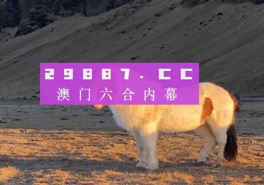 澳門馬會7777788888,澳門馬會，探索神秘數(shù)字7777與8888的魅力