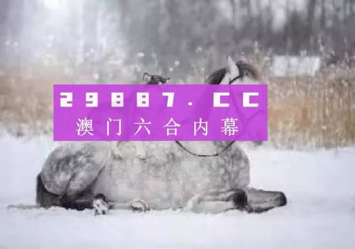 澳門二四六精準(zhǔn)大全,澳門二四六精準(zhǔn)大全，探索與解析