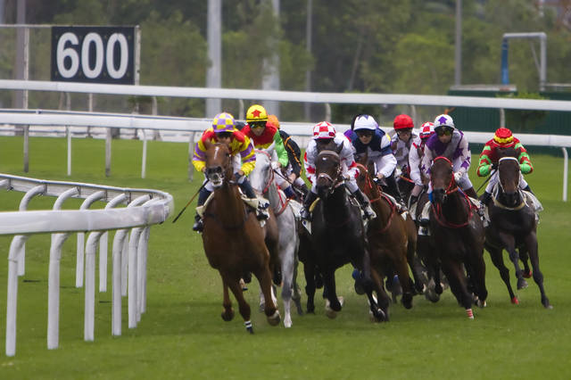 2025今晚香港開特馬,關于香港賽馬會特馬賽事的探討與預測——以今晚香港開特馬為例