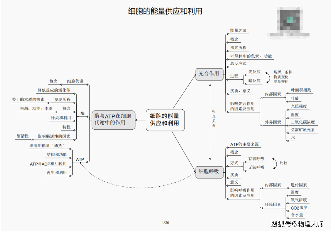 白小姐三肖三期必出一期開獎哩哩,白小姐三肖三期必出一期開獎哩哩——揭秘彩票神話與理性參與