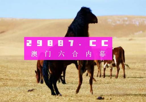 7777788888精準(zhǔn)跑狗圖,揭秘精準(zhǔn)跑狗圖，探索數(shù)字世界中的神秘77777與88888