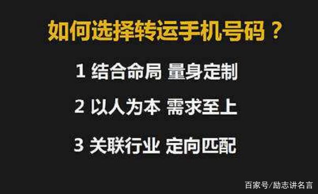 777778888精準(zhǔn)跑狗,精準(zhǔn)跑狗，探尋數(shù)字背后的故事——77777與8888的魅力之旅