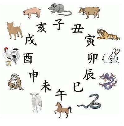 2025澳家婆一肖一特,探索未來，聚焦澳家婆與生肖特質(zhì)的獨(dú)特魅力（2025展望）