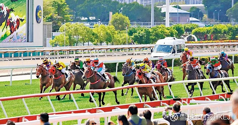 澳門馬會傳真-澳門,澳門馬會傳真——探索澳門賽馬文化的魅力