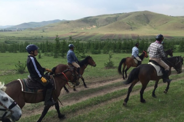 2025澳門特馬今晚開獎097期,澳門特馬今晚開獎097期，期待與驚喜的交融