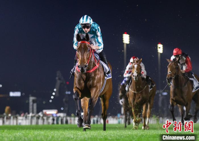 2025今晚香港開特馬,香港賽馬盛宴，2025今晚特馬開賽盛況展望