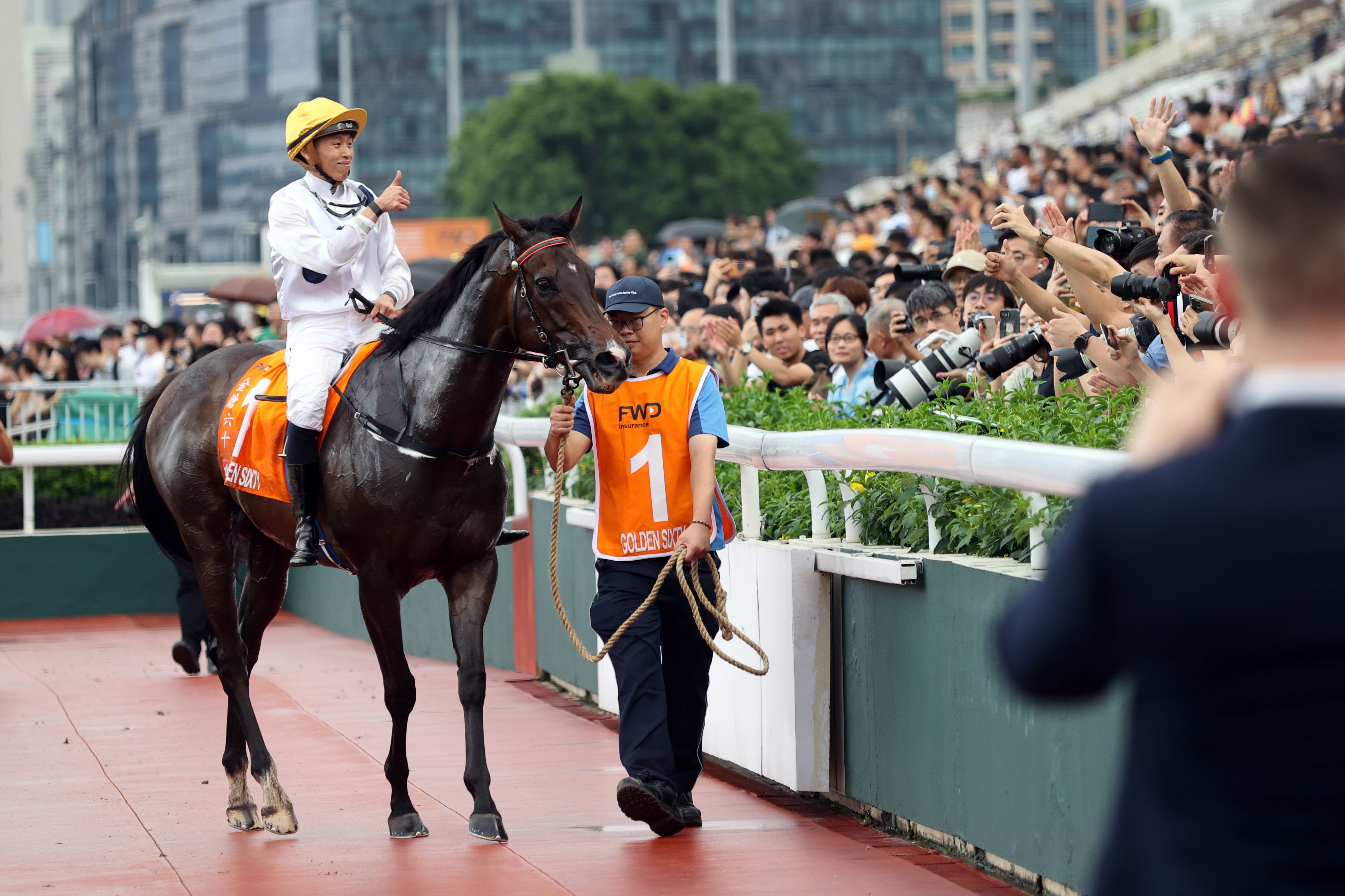 香港馬買馬網(wǎng)站www,香港馬買馬網(wǎng)站——探索賽馬文化的獨特魅力