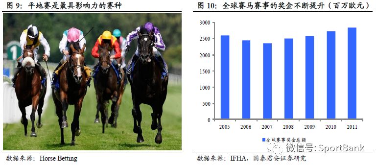 香港馬買馬網(wǎng)站www,香港馬買馬網(wǎng)站——探索賽馬文化的獨(dú)特魅力