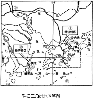 2025澳門四不像解析圖,澳門四不像解析圖，探索未來的獨特視角（到2025年）