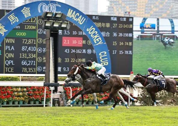 新澳門今晚開特馬結(jié)果查詢,新澳門今晚開特馬結(jié)果查詢——探索澳門特馬的世界