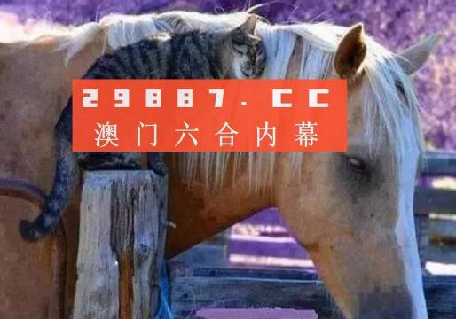 澳門二四六精準(zhǔn)大全,澳門二四六精準(zhǔn)大全，探索與解讀