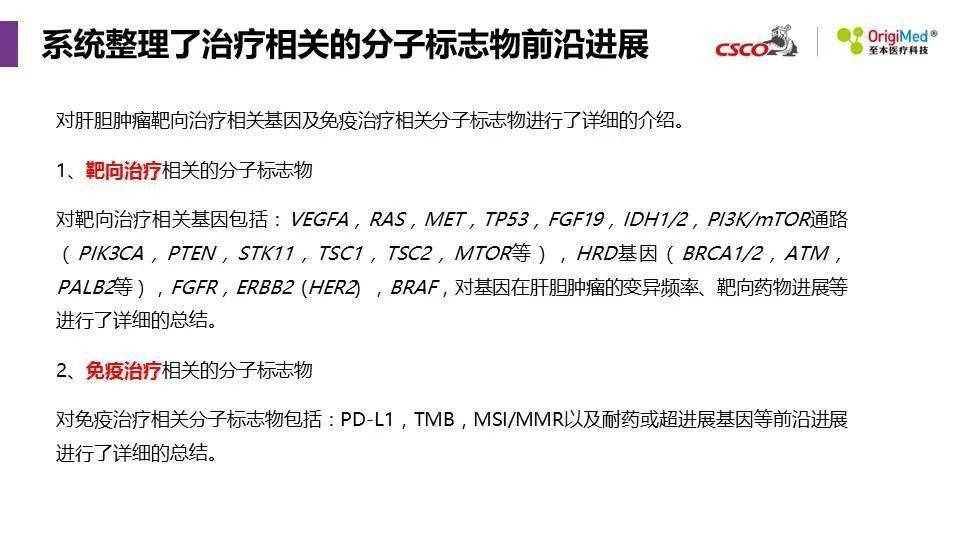 2025年新澳精準(zhǔn)資料免費(fèi)提供網(wǎng)站,探索未來，2025年新澳精準(zhǔn)資料免費(fèi)提供的網(wǎng)站展望