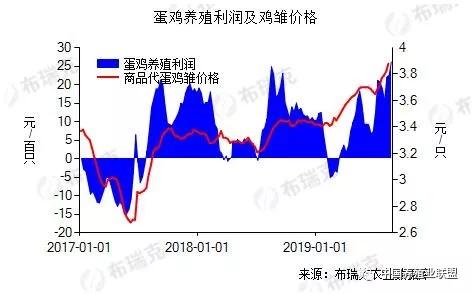 2025新澳今晚資料雞號幾號,探索未來，關于新澳今晚資料的深度解析與預測（雞號及日期預測）