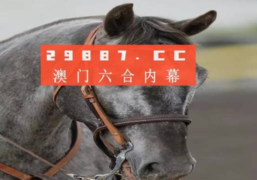 澳門精準(zhǔn)一肖一碼一碼,澳門精準(zhǔn)一肖一碼一碼，探索與解析